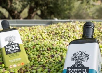 Παγκόσμια πρωτιά για την Κρητική Terra Creta