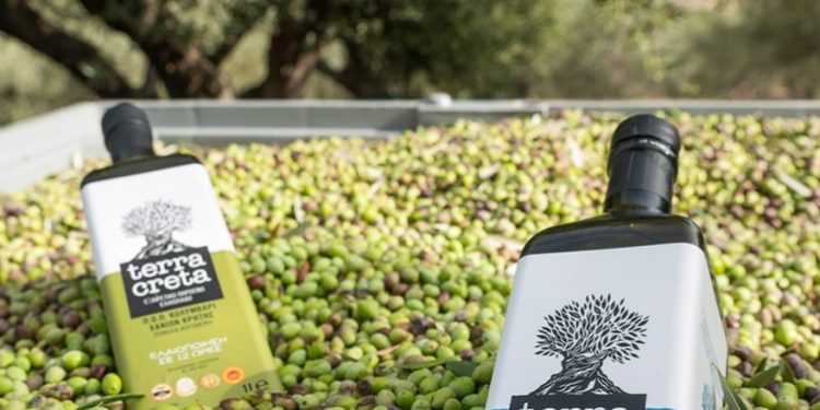 Παγκόσμια πρωτιά για την Κρητική Terra Creta