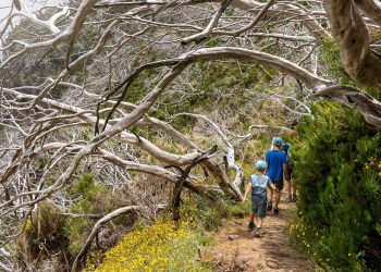 Οι νέες ταξιδιωτικές τάσεις των Ελλήνων: Στροφή σε αθλητικά & ευεξίας ταξίδια
