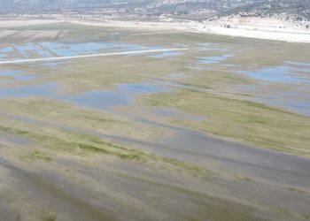 Η ΝΔ ζητά εξηγήσεις από τον Ανδρουλάκη για το στέλεχος του κόμματος που είχε δηλώσει δημόσιες εκτάσεις στην Κάρλα