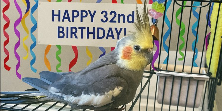 O “Σόνι” … κατέρριψε το ρεκόρ Γκίνες