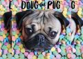 Pet influencers: Τα διάσημα τετράποδα των Social Media